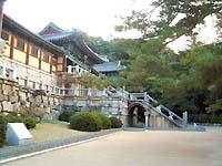  ����(����)���E�r�[�g��(�����D)�ōq���E�������R�c�A�[�\��E�i�����R�c�A�[�\��